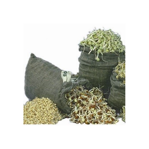 Sacchetto Germogliatore Sprout Bag BAVICCHI