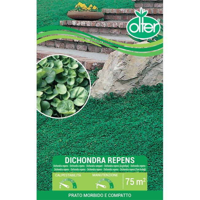 Dichondra Repens Olter Disponibile nei Formati da 100 - 200 GR