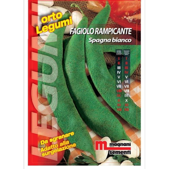 Fagiolo Rapicante Bianco di Spagna 100 - 200 gr