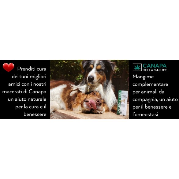 Integratore Canapa Dog