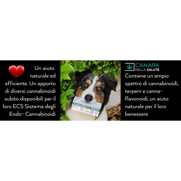 Integratore Canapa Dog