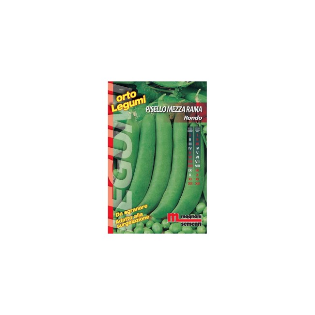 Semi di Piselllo Mezza Rama Rondo