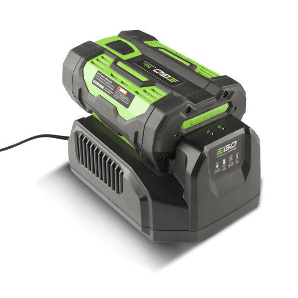 Caricabatteria Standard Ego CH2100E