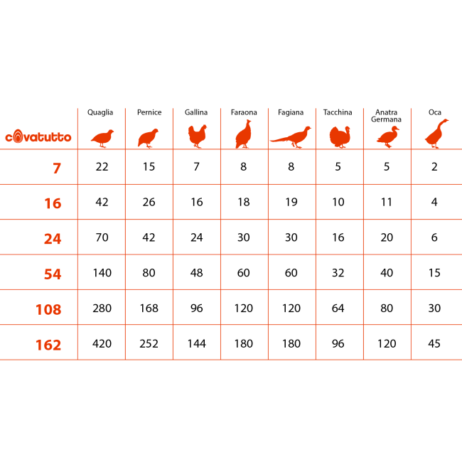 Incubatrice Covatutto 24 Digitale