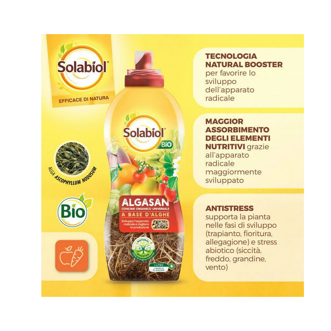 Concime Organico Algasan Solabiol 1LT