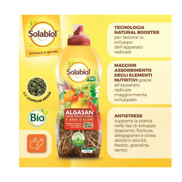 Concime Organico Algasan Solabiol 1LT
