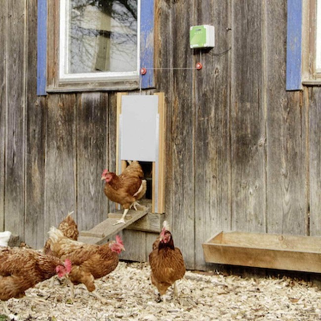 Apriporta Automatica per Pollame...