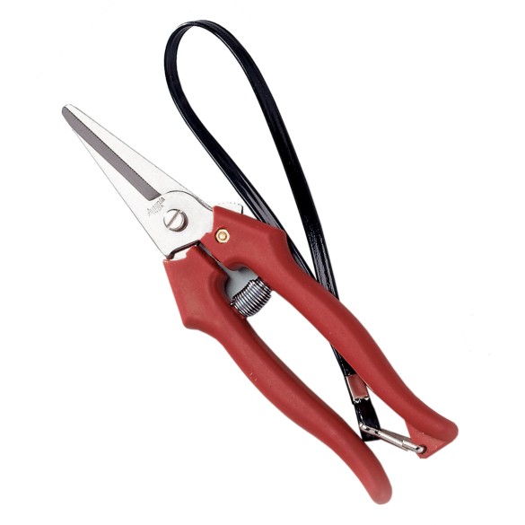 FORBICE COGLIUVA 19CM STD LGA Ausonia