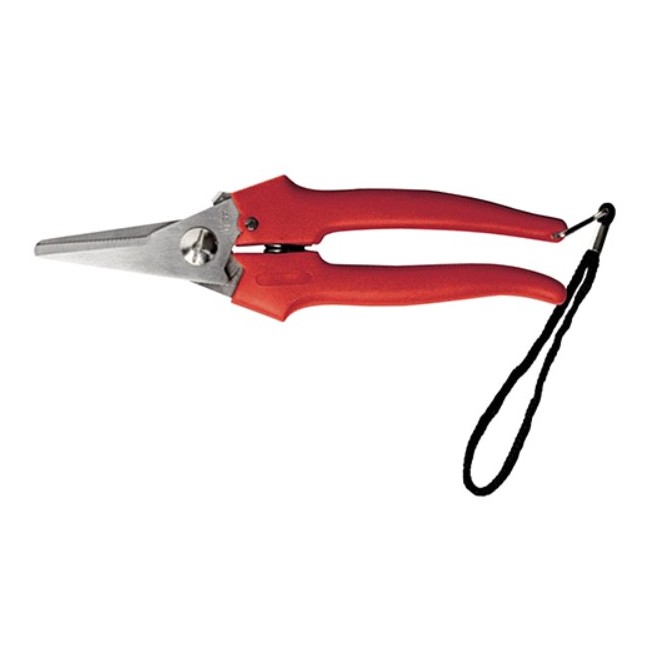 FORBICE COGLIUVA 19CM STD LGA Ausonia