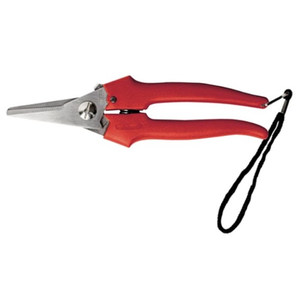 FORBICE COGLIUVA 19CM STD LGA Ausonia