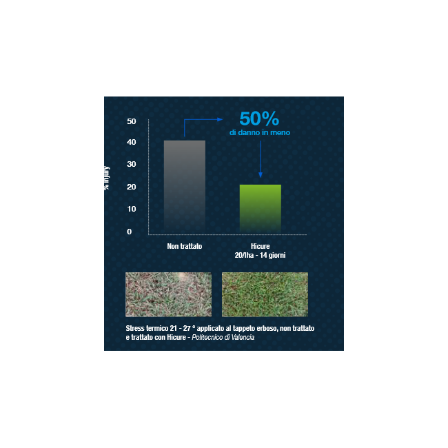 Fertilizzante HICURE 1lt Syngenta