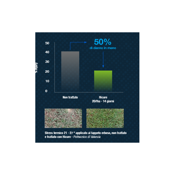 Fertilizzante HICURE 1lt Syngenta