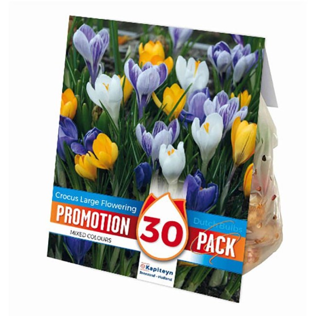 Bulbi di Crocus Vernus Mix Promo 30...