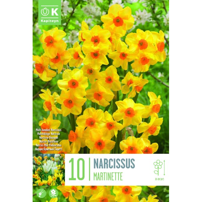 Bulbi di Narciso Botanical Martinette...