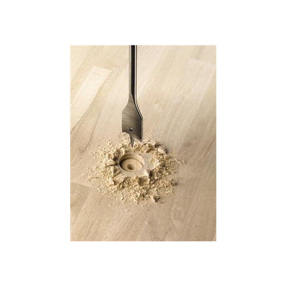 Punta per Legno Mecchia 25mm KWB