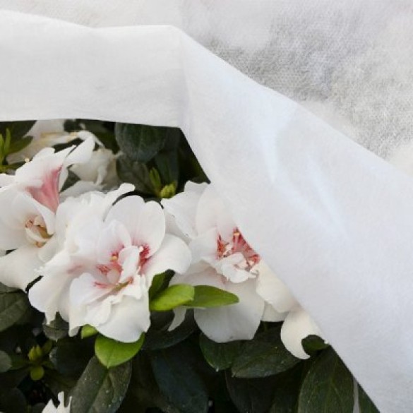 Copertura TNT Velo Bianco 1,6 mtx10 GR 17 Verdelook