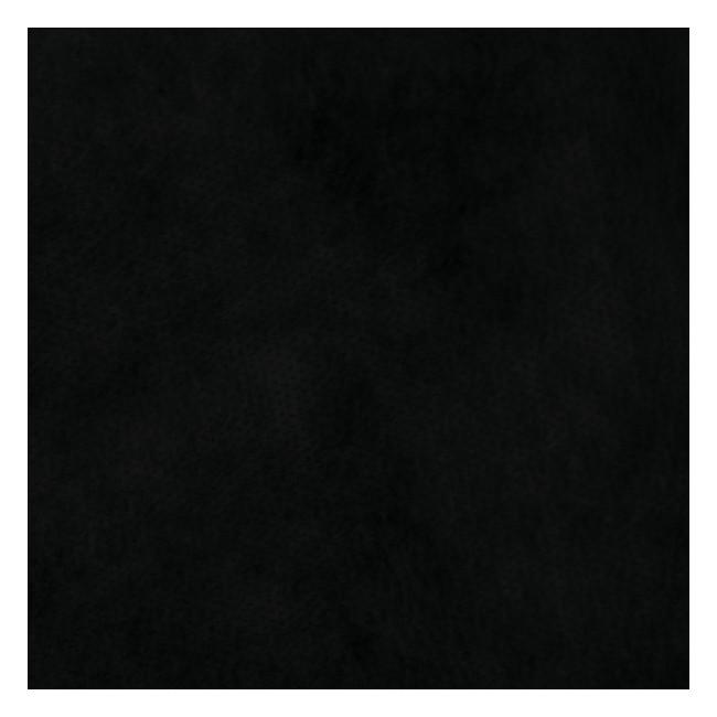 Copertura TNT Velo Nero H2,4 mtx100...