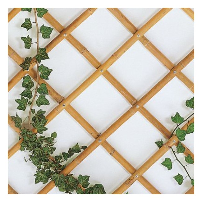 Traliccio estensibile regolabile...