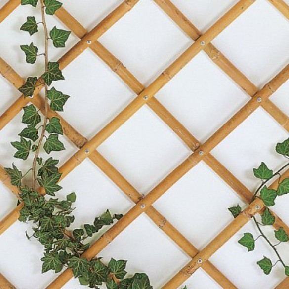 Traliccio estensibile regolabile 150x180cm bamboo Verdelook