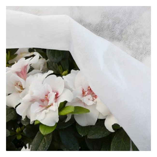 Tessuto TNT Bianco 17gr 1.6x20m