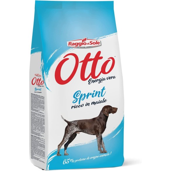 Crocchette Cane Sprint Otto 20Kg