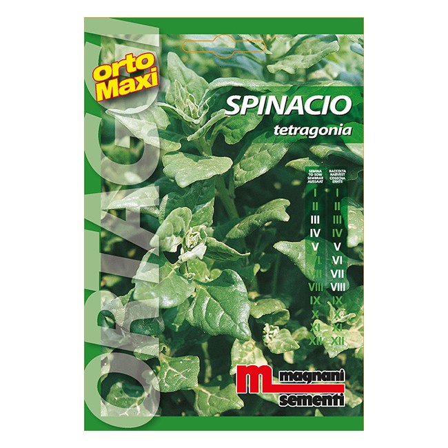 Semi di Spinacio Tetragonia MAGNANI