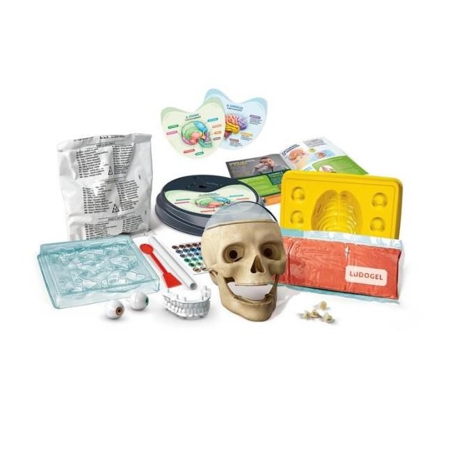 CLEMENTONI Anatomia fuori di testa