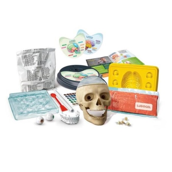 CLEMENTONI Anatomia fuori di testa