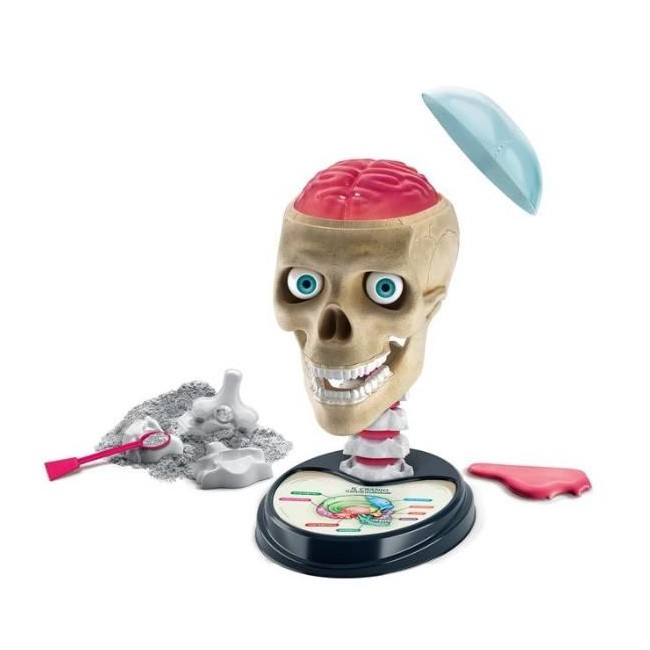 CLEMENTONI Anatomia fuori di testa