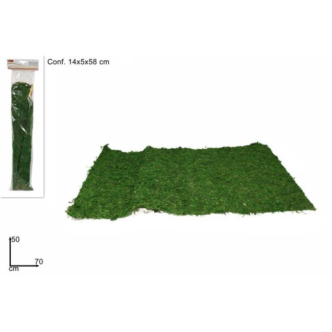 Busta Muschio Tappeto 50x70 CM DUESSE...