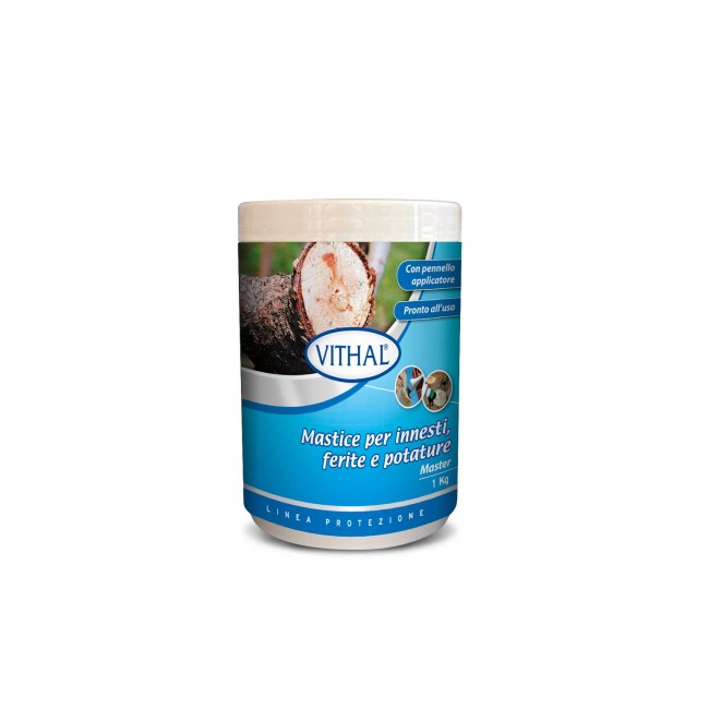 Mastice Master 1 kg Vithal