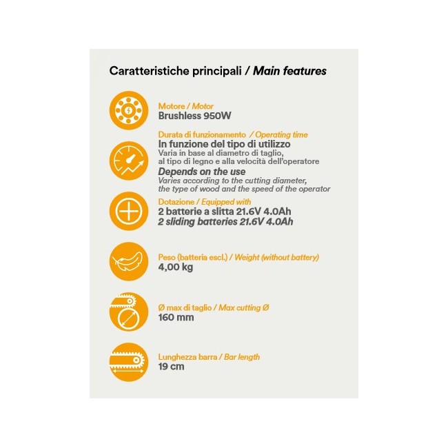 Potatore Seghetto a Catena con 2...