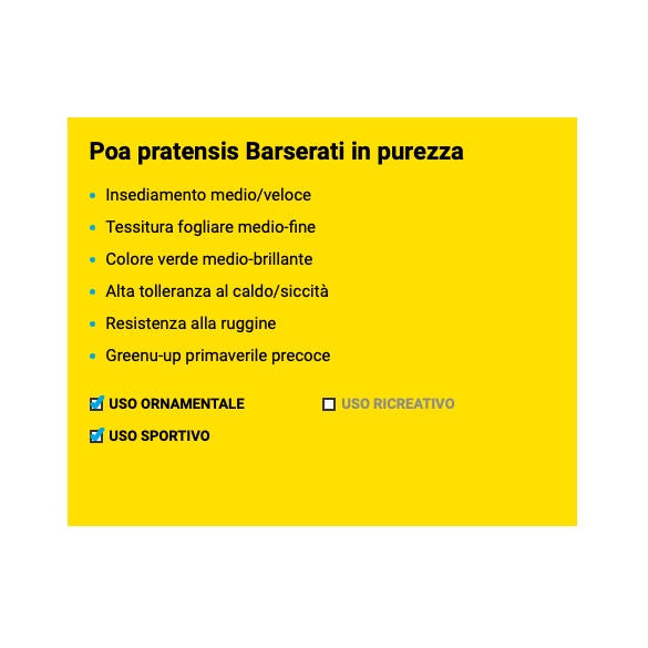 Poa Pratensis Barserati Barenbrug 20 Kg