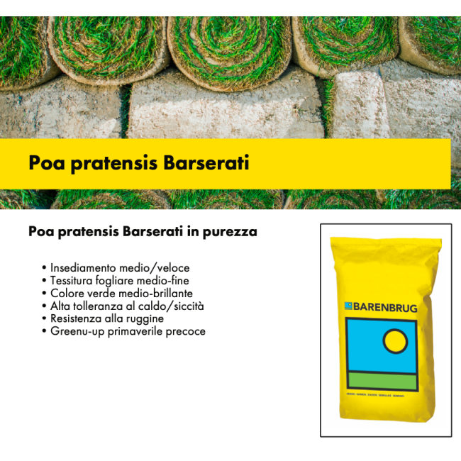 Poa Pratensis Barserati Barenbrug 20 Kg