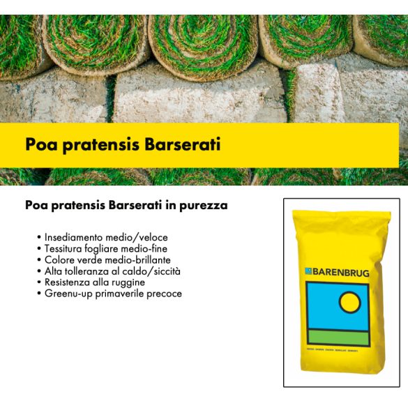 Poa Pratensis Barserati Barenbrug 20 Kg