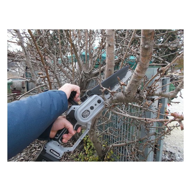 Potatore Tagliarami a Catena con 2...