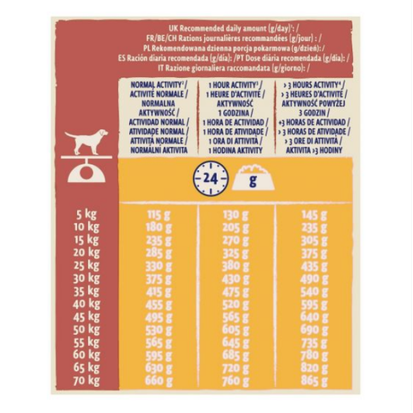 Cane Dog Chow Active Pollo 14 Kg Purina