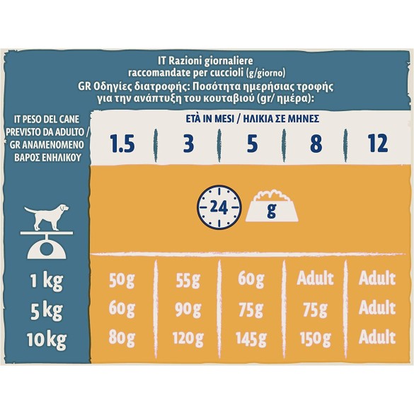 Cane Dog Chow Active Pollo 2,5 Kg Purina