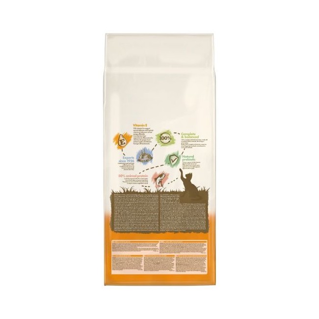 Cat Chow Gatto Salmone PURINA