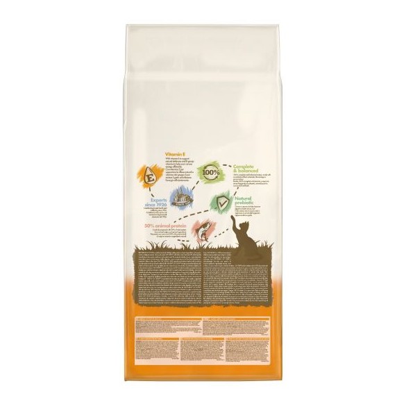 Cat Chow Gatto Salmone PURINA