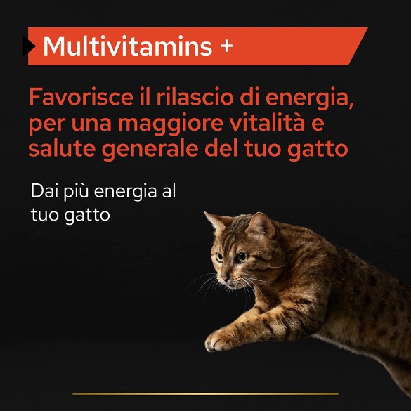 Purina Pro Plan Supplements Gatto Multivitamins+ 60g