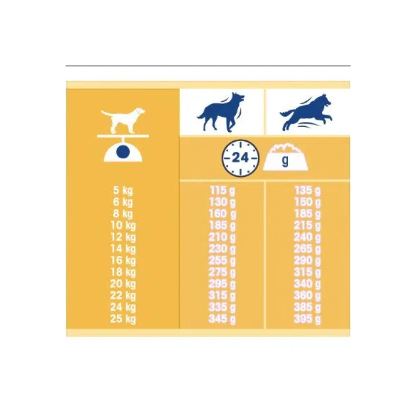 Cane Dog Chow Agnello 10 Kg Purina