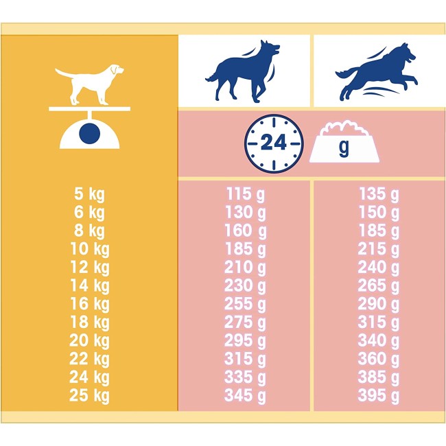 Cane Dog Chow Salmone 10 Kg Purina