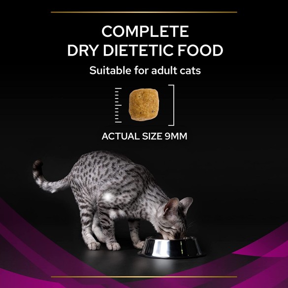 Purina Pvd Gatto Urinary Pollo 350gr