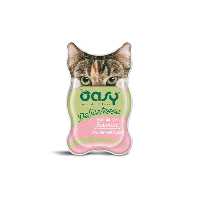 Gatto - Delicatesse Salmone busta...