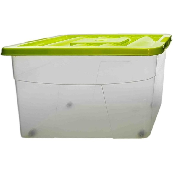 Dodo Box 58L TONTARELLI