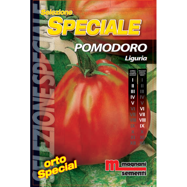 Semi di Pomodoro Liguria
