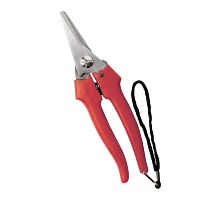 FORBICE COGLIUVA 19CM STD LGA Ausonia