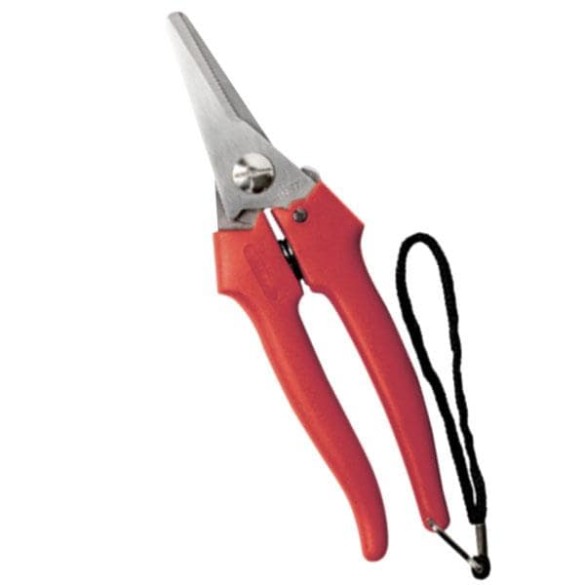 FORBICE COGLIUVA 19CM STD LGA Ausonia