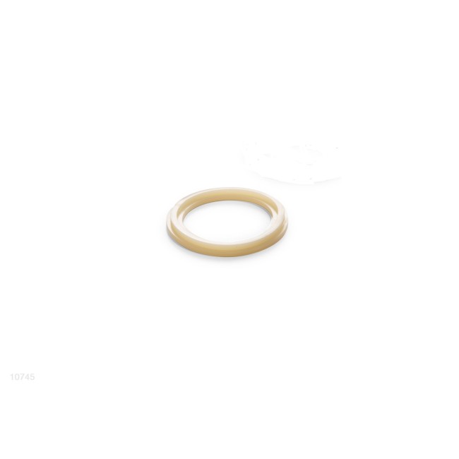 Anello Per Valvola Plunger 10745 INTEX